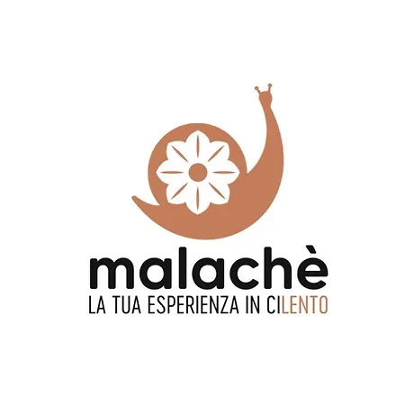 Malache 3* Torchiara
