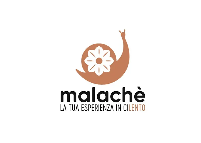 Malache 3* Torchiara
